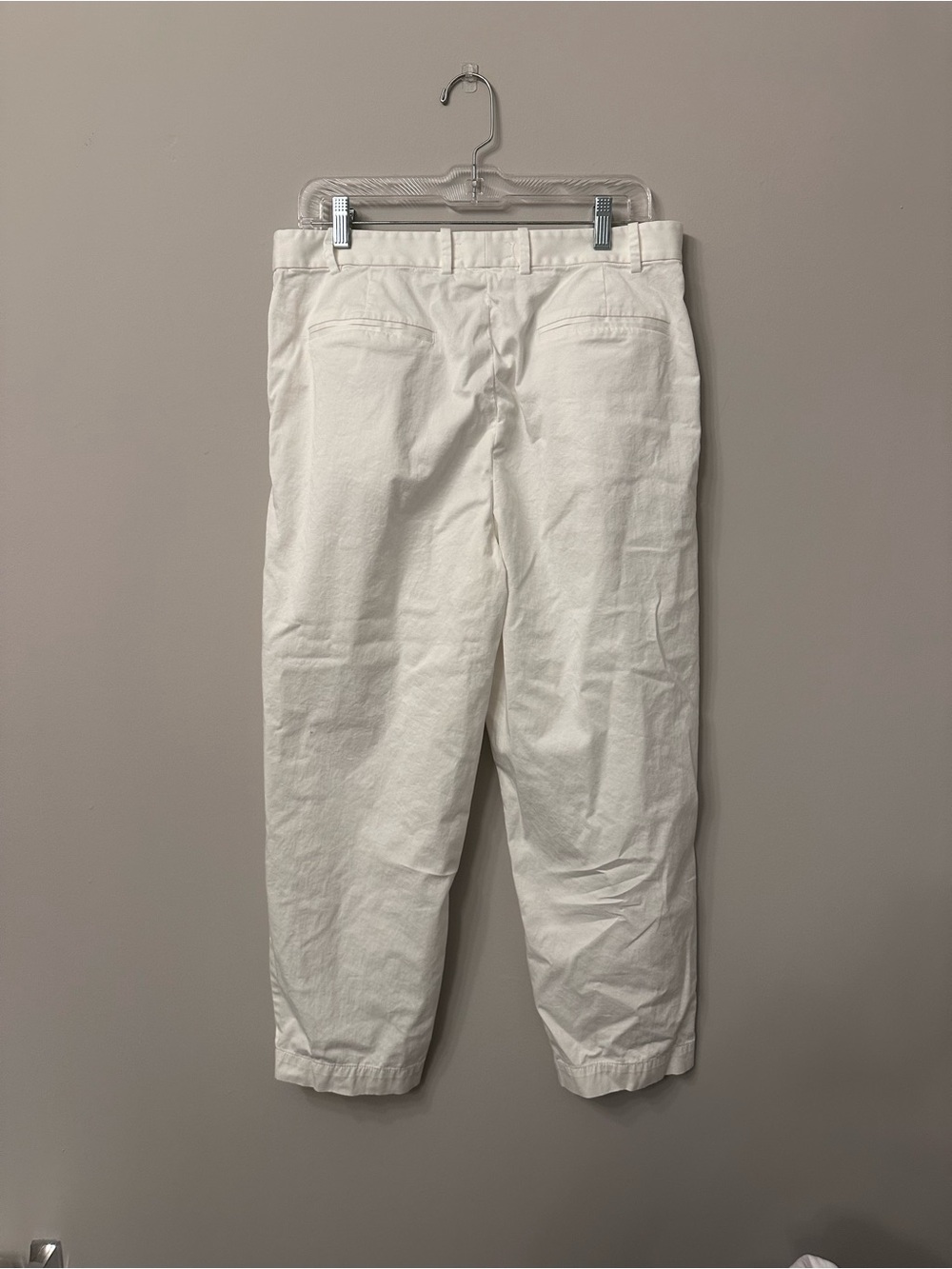 Everlane Pleated Taper Pant Ivory White High Rise Ankle Trousers Size 10 - Picture 4 of 6